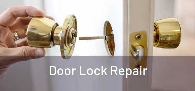 Door Lock Repair